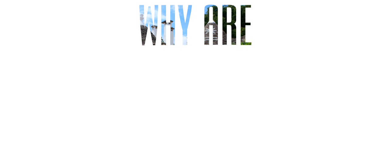 ニーズオートが選ばれる理由 WHY ARE WE CHOSEN?