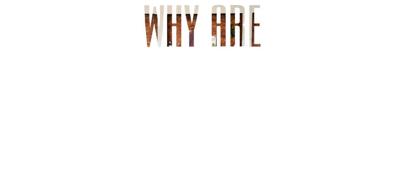 ニーズオートが選ばれる理由 WHY ARE WE CHOSEN?