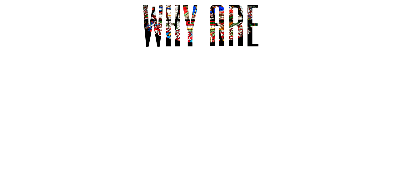 ニーズオートが選ばれる理由 WHY ARE WE CHOSEN?