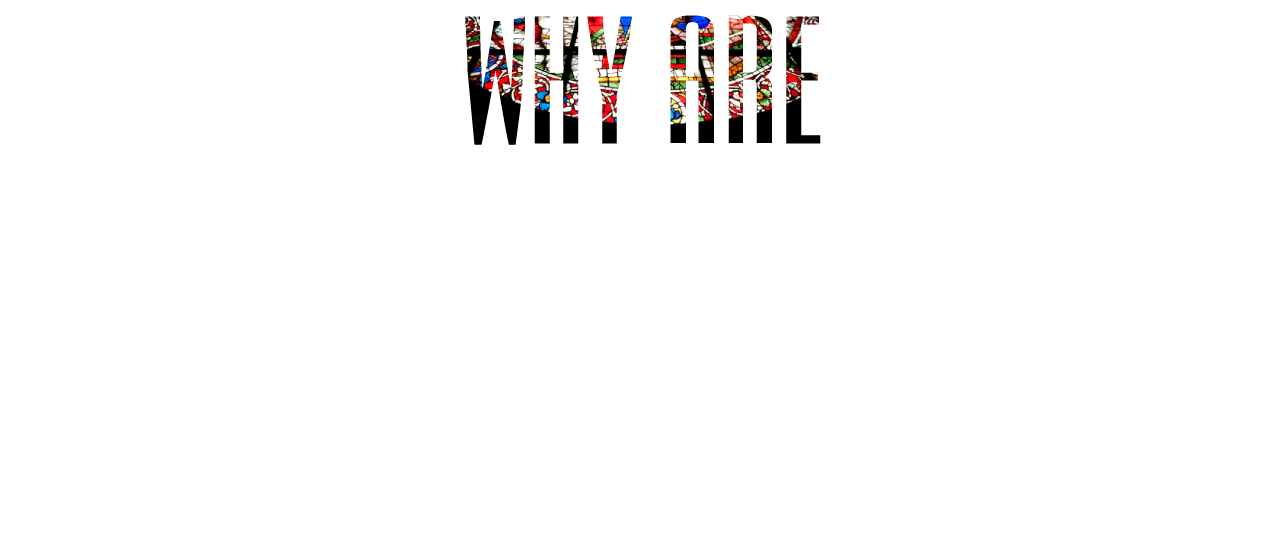 ニーズオートが選ばれる理由 WHY ARE WE CHOSEN?