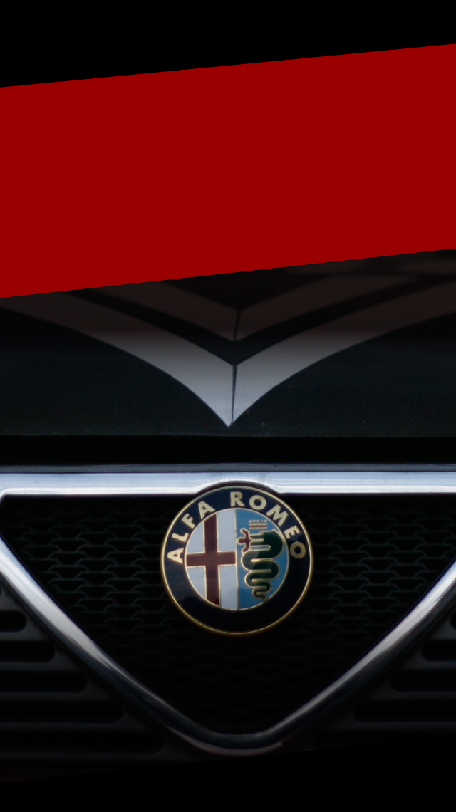 「アルファロメオ最後の砦」として日本一を目指しています。bg2