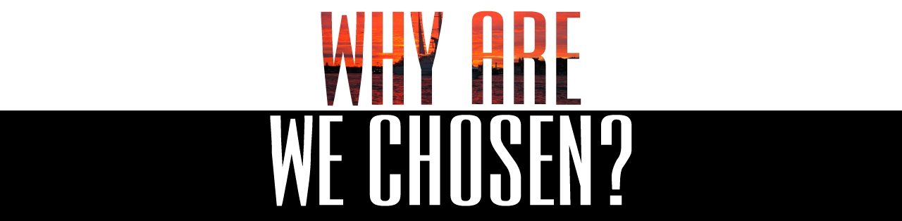 ニーズオートが選ばれる理由