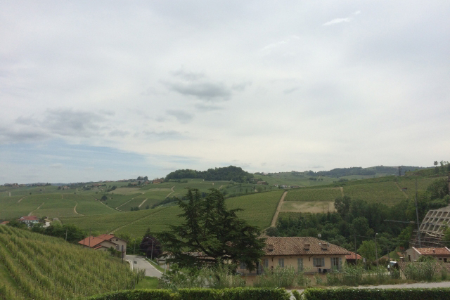 ピエモンテ地方の魅力